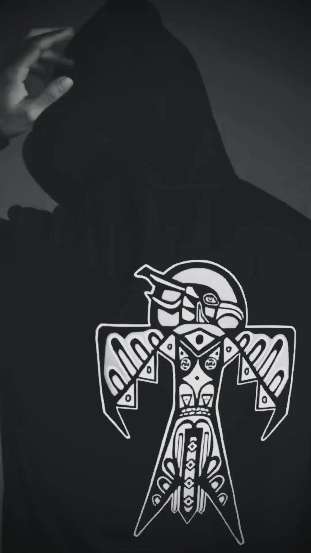 Thunderbird (Noir) - Unisex Hoodie Arifacta